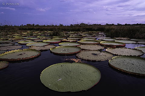 220922-9616.jpg
