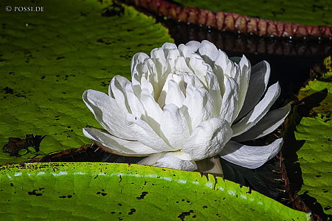 220923-1387.jpg