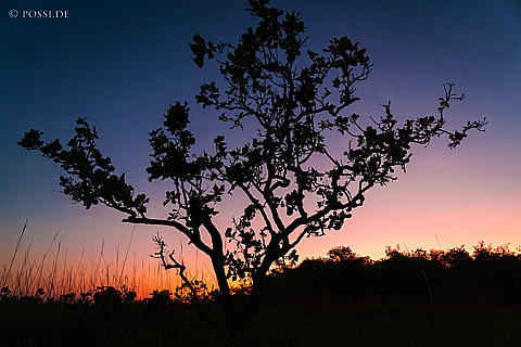 220923-9642.jpg