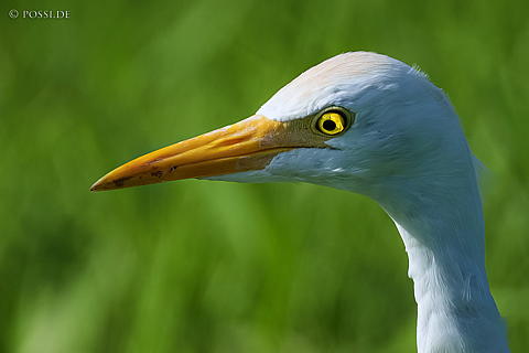 220925-3241.jpg