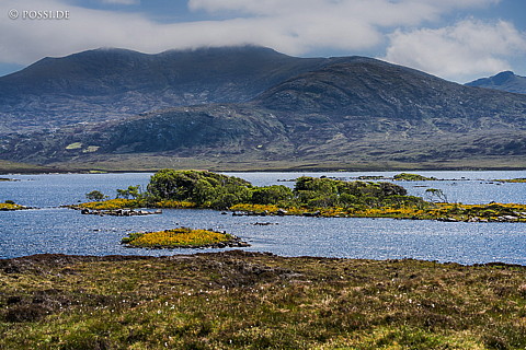 160530-2640.jpg