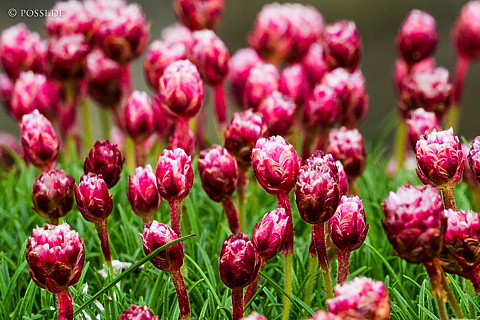160531-2771.jpg