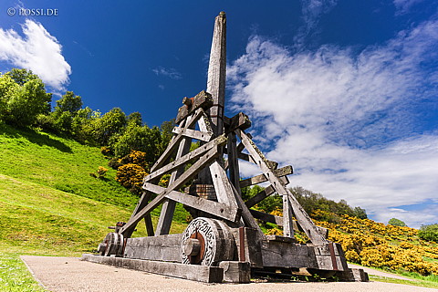 160602-3144.jpg