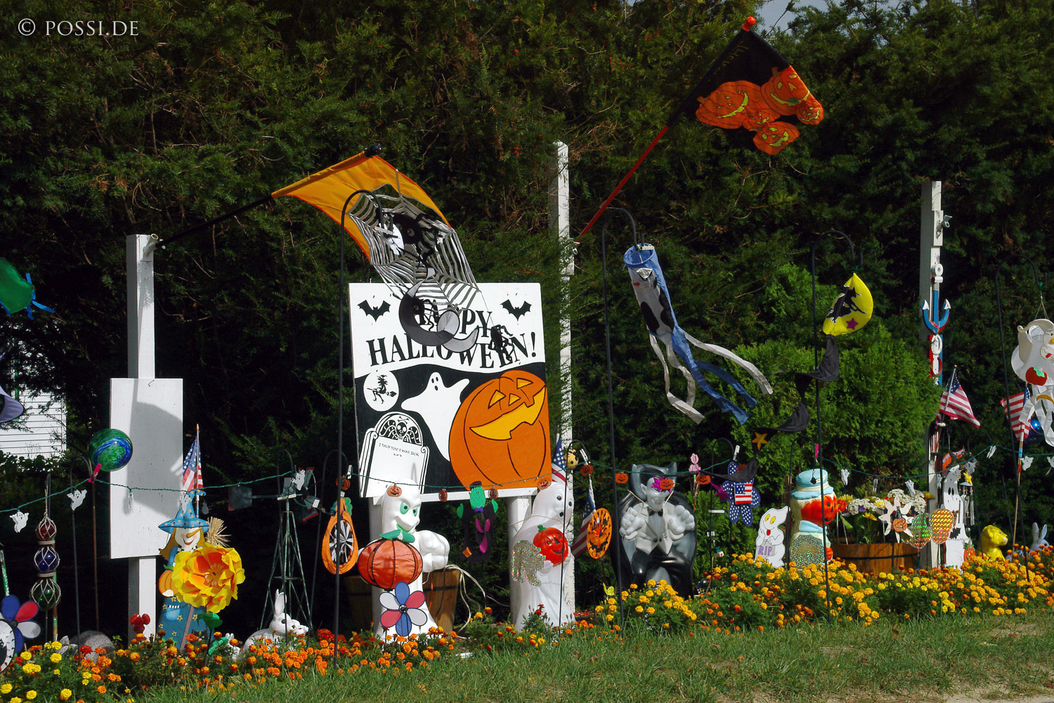 040930-0524.jpg