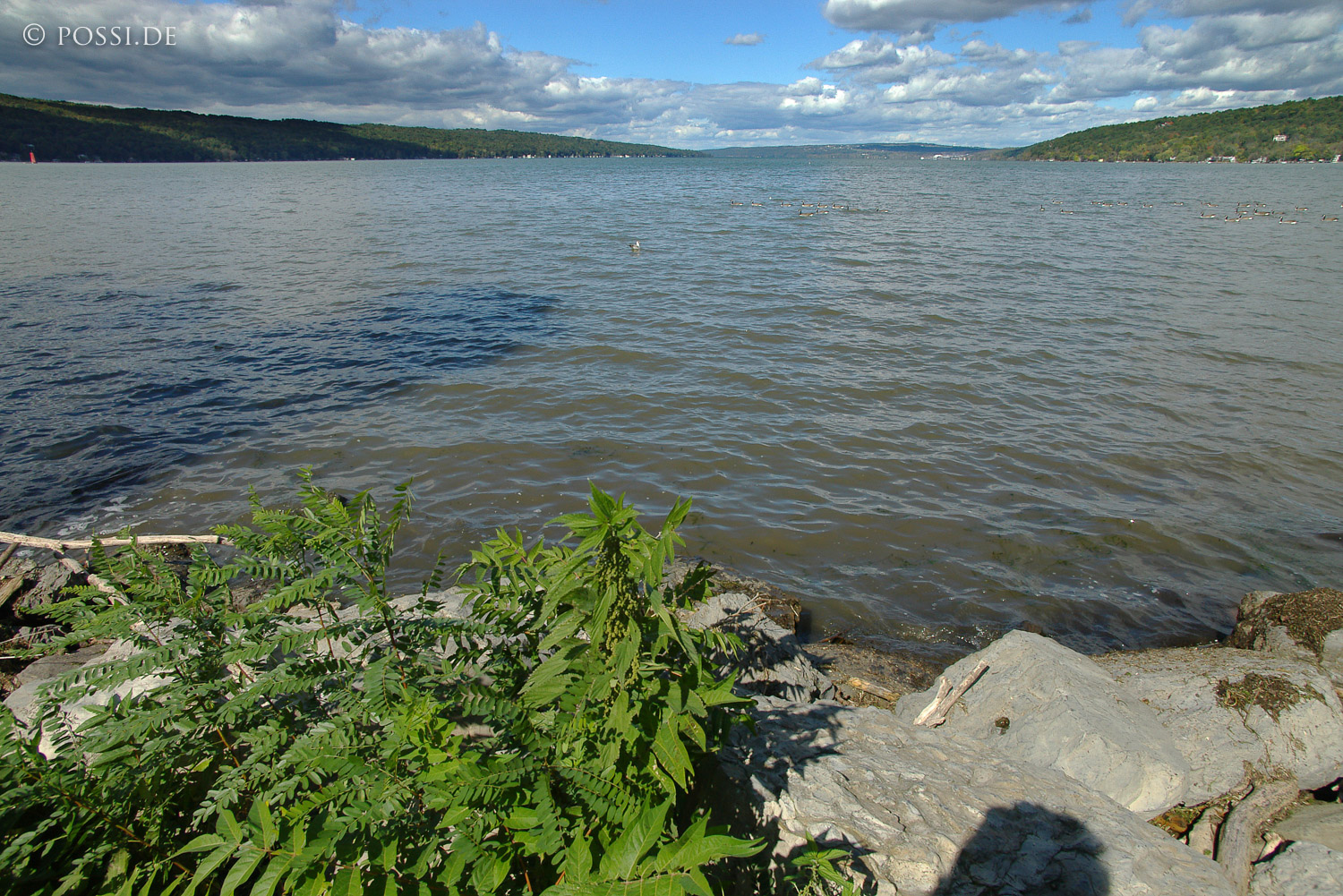 041005-0835.jpg