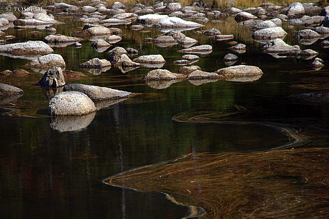 041001-0561.jpg