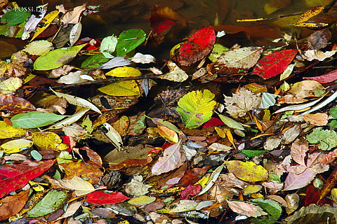 041005-0840.jpg