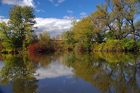 041005-0842.jpg