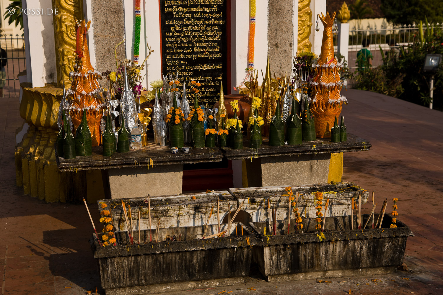 100115-2420.jpg