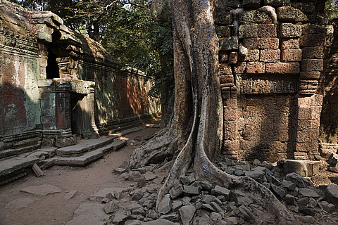 100105-1009.jpg