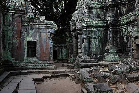 100105-1021.jpg