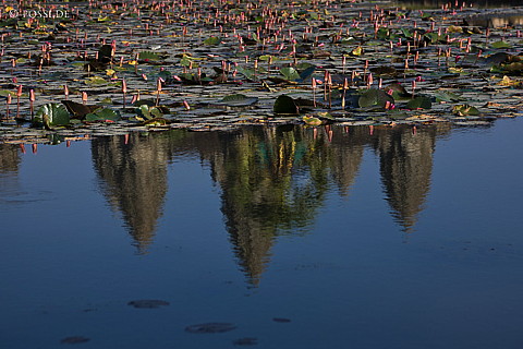 100105-1155.jpg