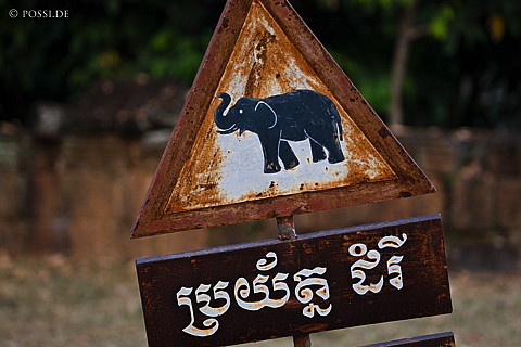 100105-1179.jpg