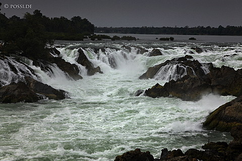 100108-1295.jpg