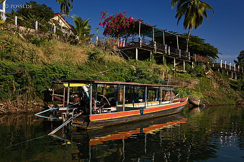 100109-1339.jpg