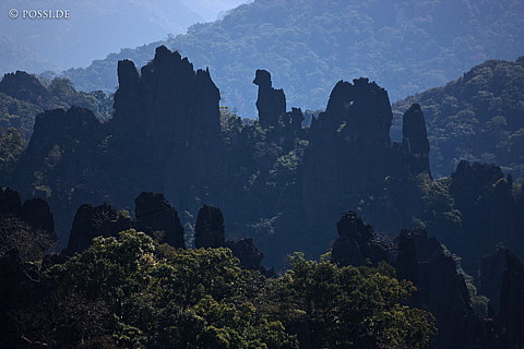 100110-1611.jpg