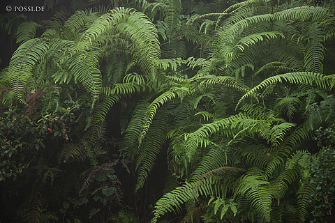 100112-1866.jpg