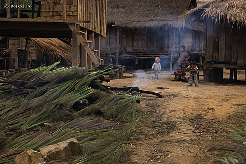 100112-1873.jpg