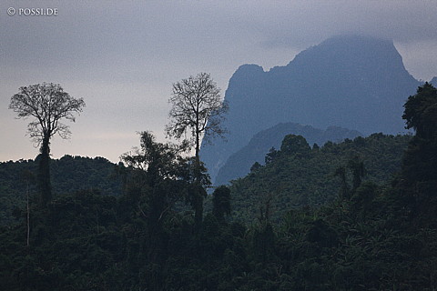 100113-2030.jpg