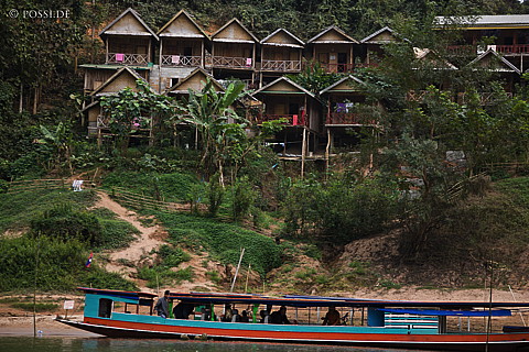 100113-2061.jpg
