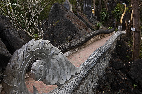100113-2174.jpg