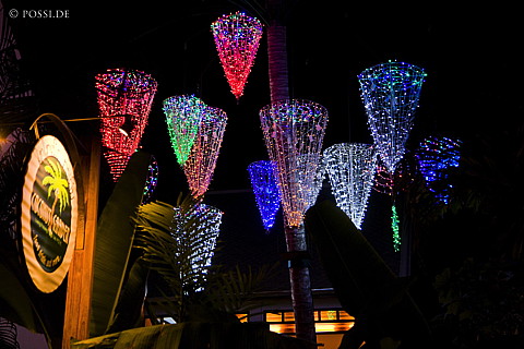 100113-2191.jpg