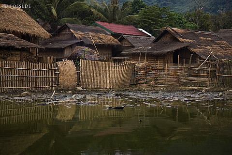100114-2233.jpg