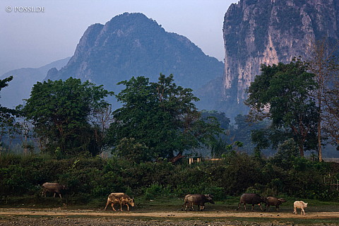100115-2303.jpg