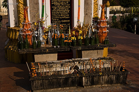 100115-2420.jpg