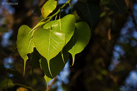 100115-2471.jpg