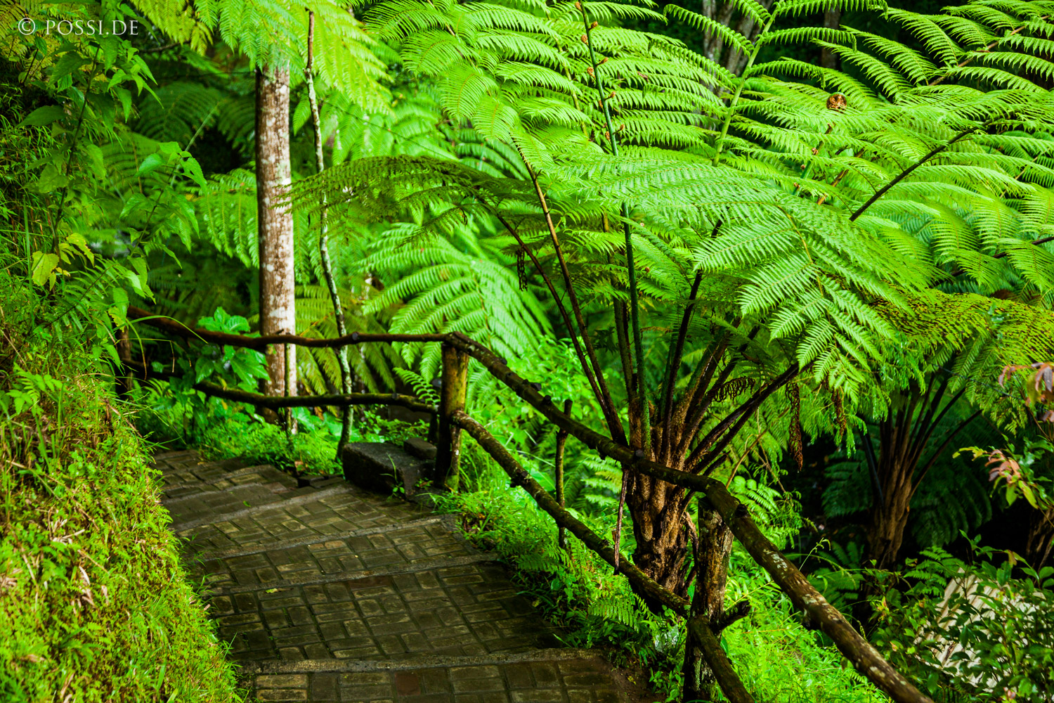 120402-2137.jpg