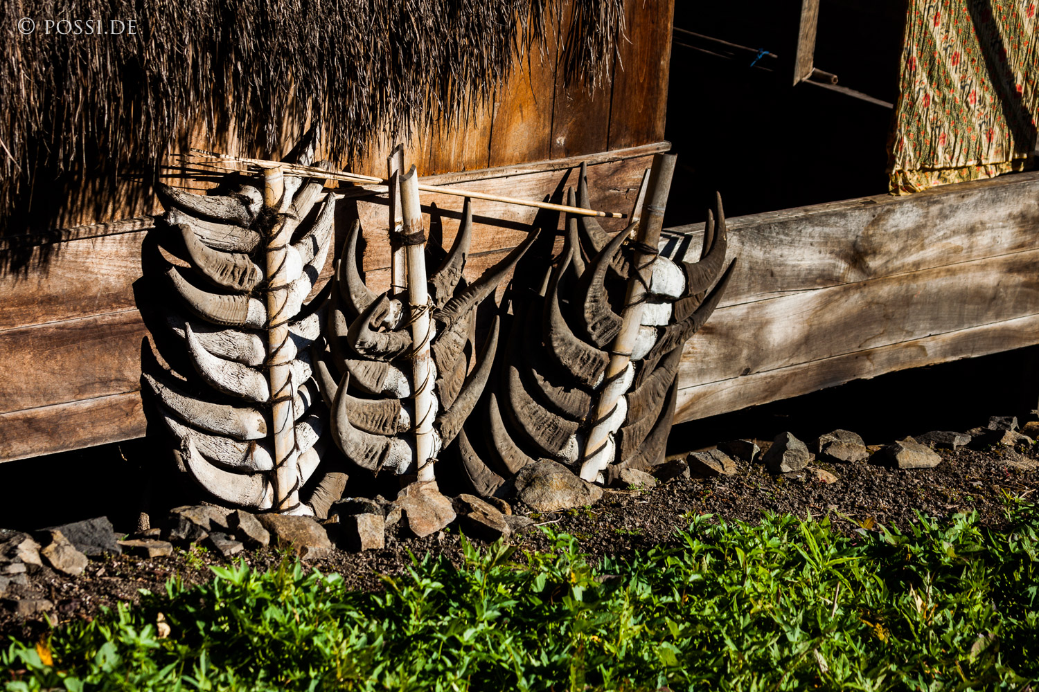 120416-6428.jpg