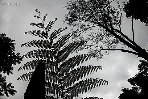 120402-2133.jpg