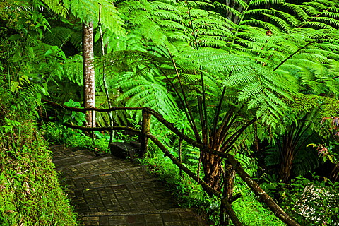 120402-2137.jpg