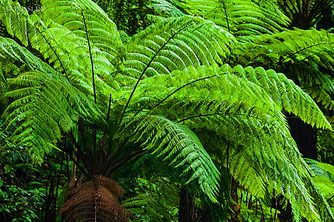 120405-2541.jpg