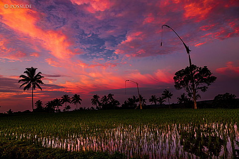 120406-2641.jpg