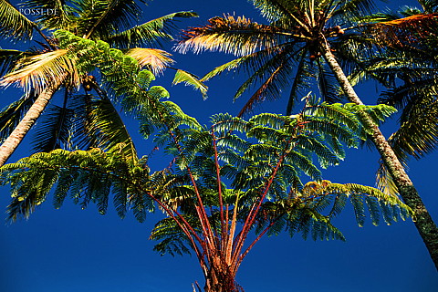 120406-2733.jpg