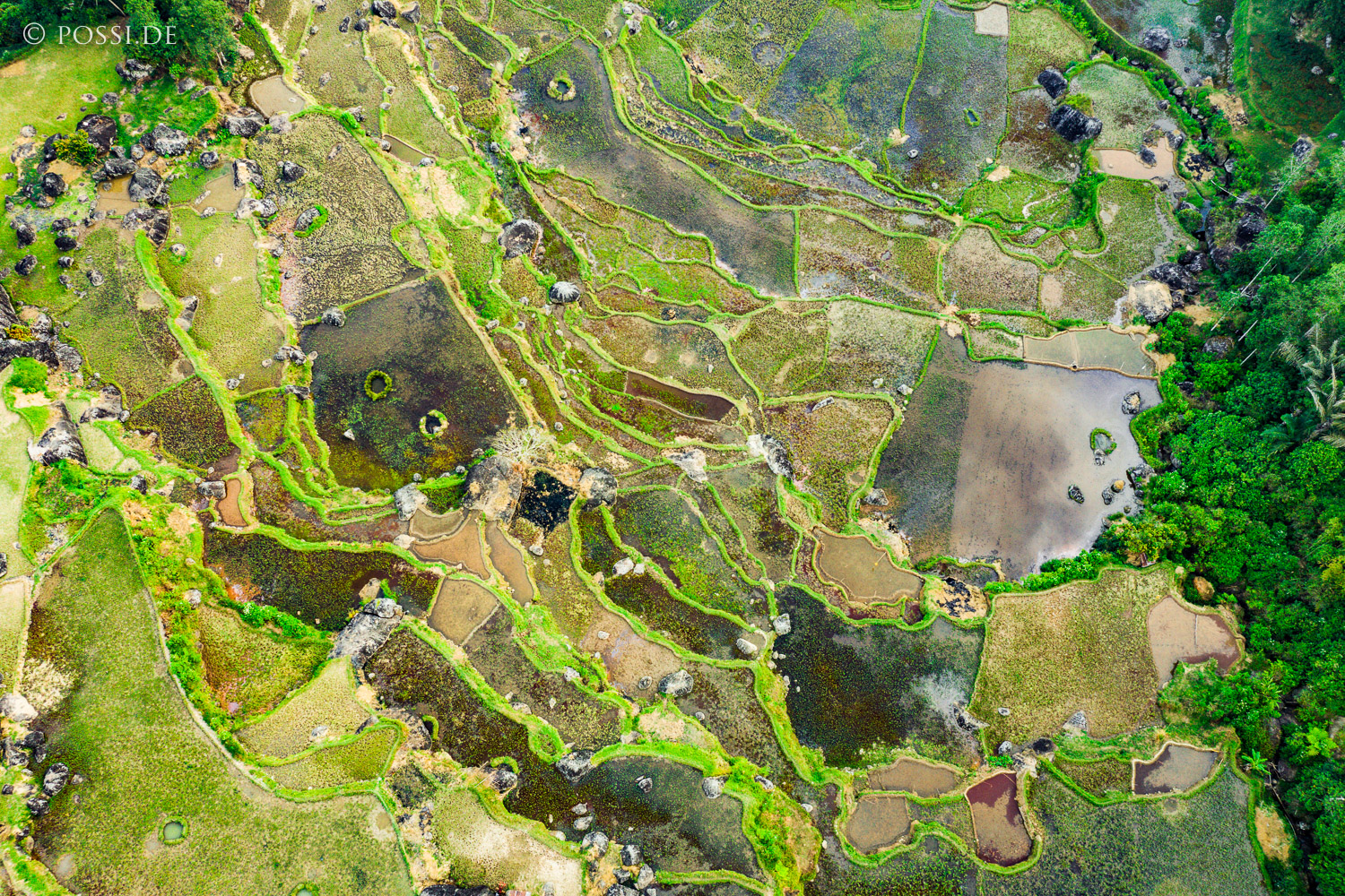 190907-210235-0398.jpg