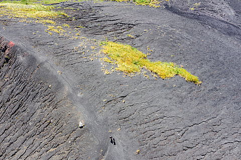 190825-103744-0115.jpg