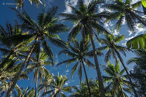 190827-071653-3416.jpg
