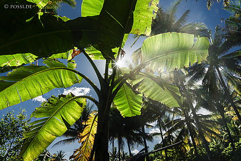 190827-082135-3448.jpg
