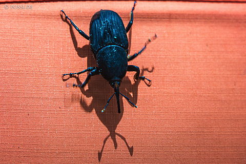 190827-112132-3501.jpg
