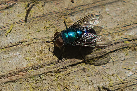 190827-112234-3503.jpg