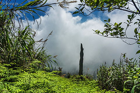 190827-140641-3513.jpg
