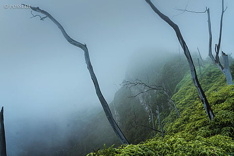 190828-053555-4038.jpg