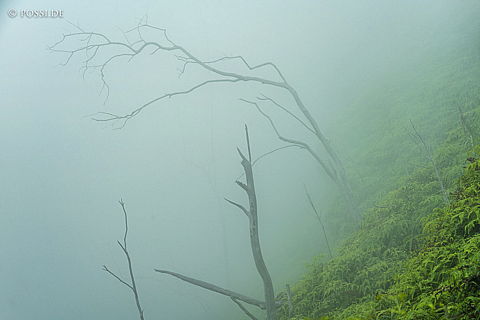 190828-144656-4337.jpg