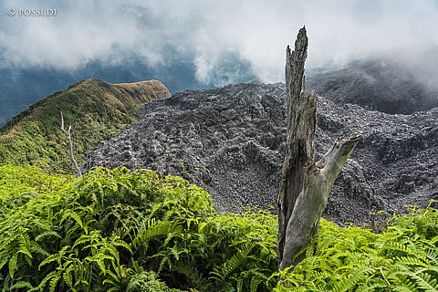 190829-091405-4538.jpg