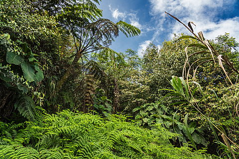 190829-095942-4566.jpg