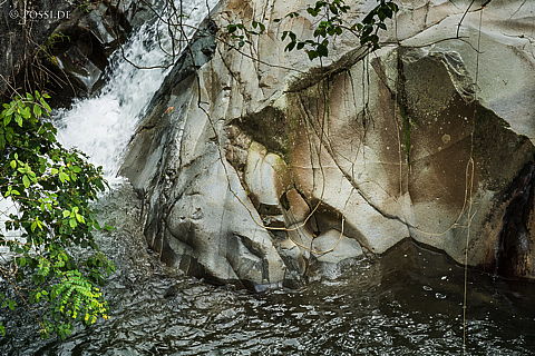 190904-123517-5254.jpg