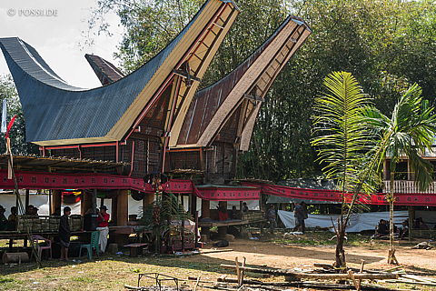 190905-095734-5663.jpg